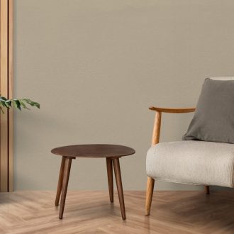 Fotografia de Diseño interior de sala de estar moderna de mediados de siglo con árbol monstera